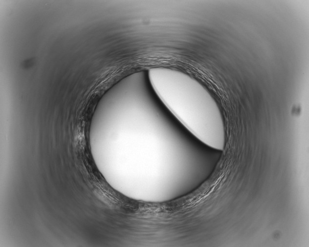 X0000099560771200805160750