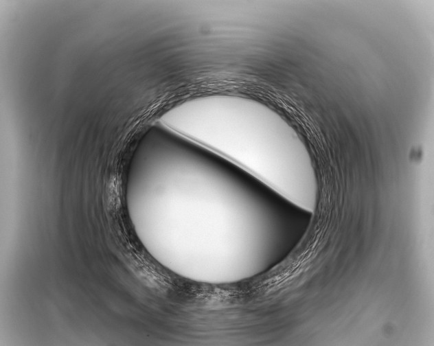 X0000099560772200805160750