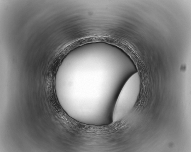 X0000099560773200805160750