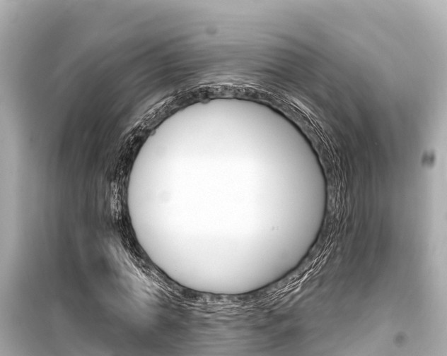 X0000099560774200805160750