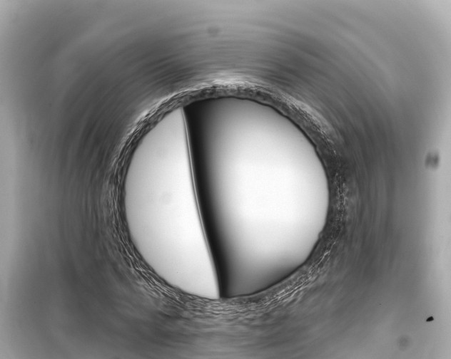X0000099560776200805160749