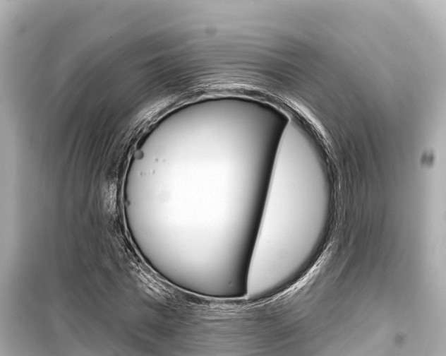 X0000099560777200805160749