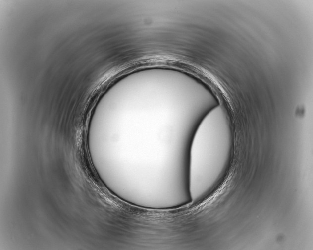 X0000099560778200805160749
