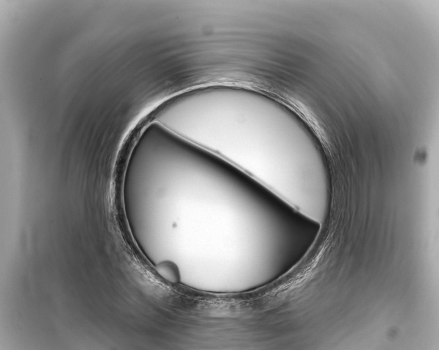 X0000099560780200805160749