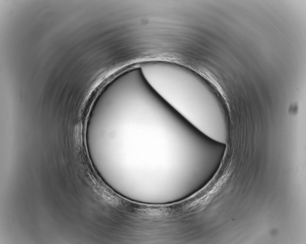X0000099560781200805160749