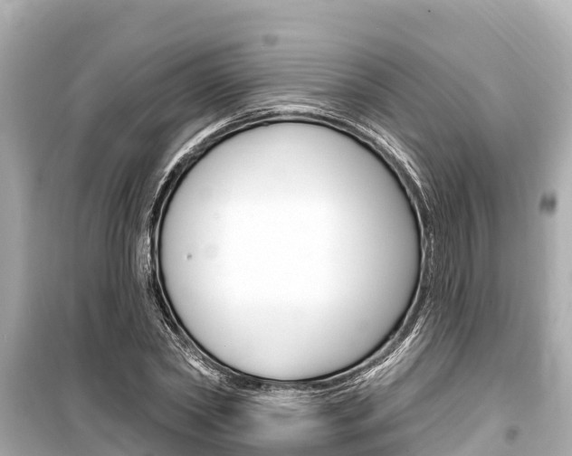 X0000099560782200805160749