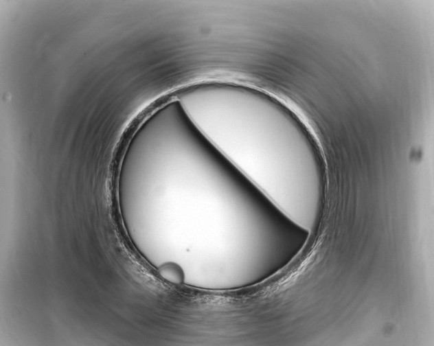 X0000099560783200805160749