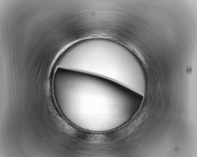 X0000099560784200805160749