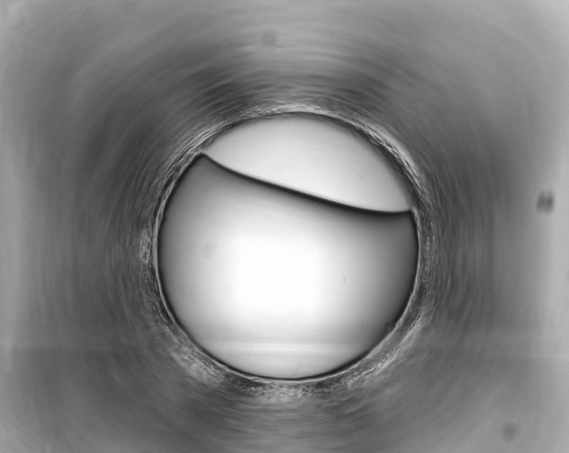 X0000099560785200805160749