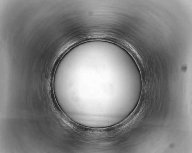 X0000099560786200805160749