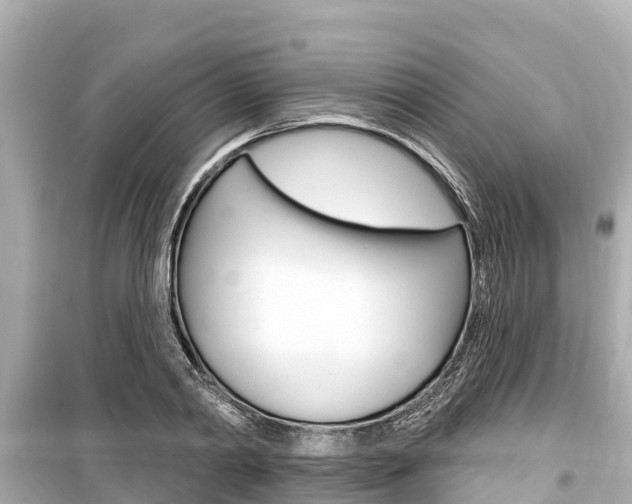 X0000099560790200805160749