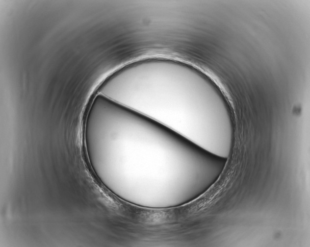 X0000099560791200805160749