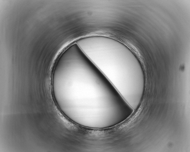 X0000099560800200805160749