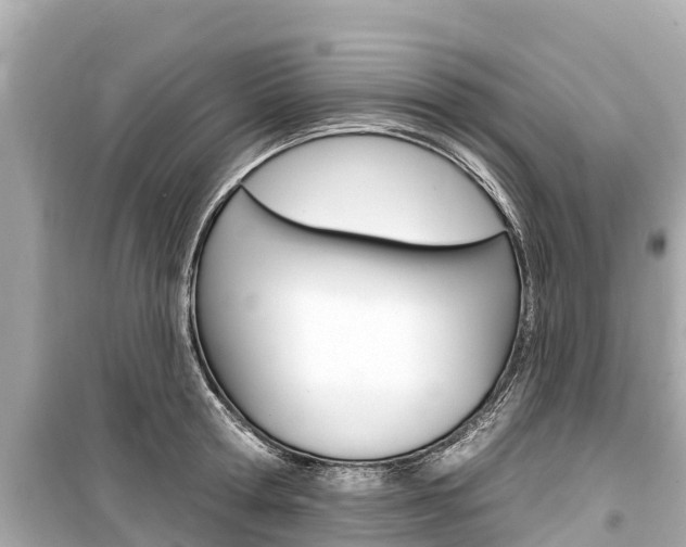 X0000099560802200805160749