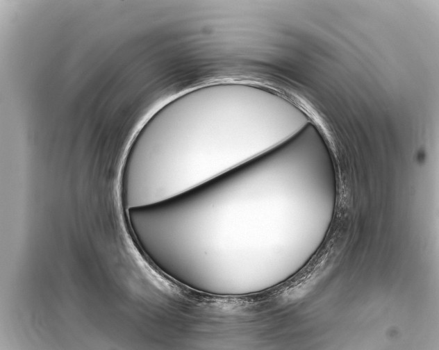 X0000099560803200805160749