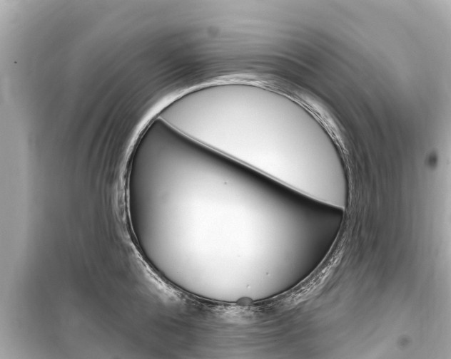 X0000099560808200805160749