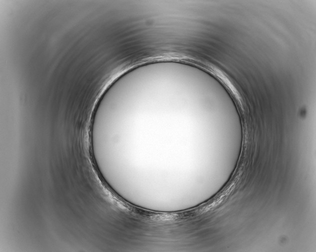 X0000099560810200805160749