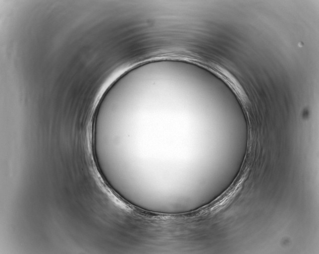 X0000099560812200805160749