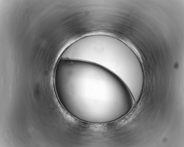 X0000099560813200805160749