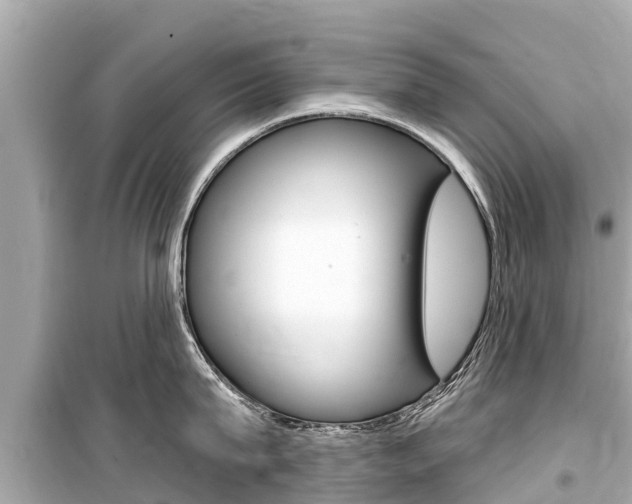 X0000099560815200805160749