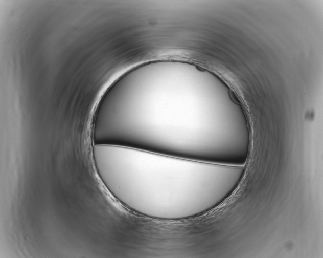 X0000099560816200805160749