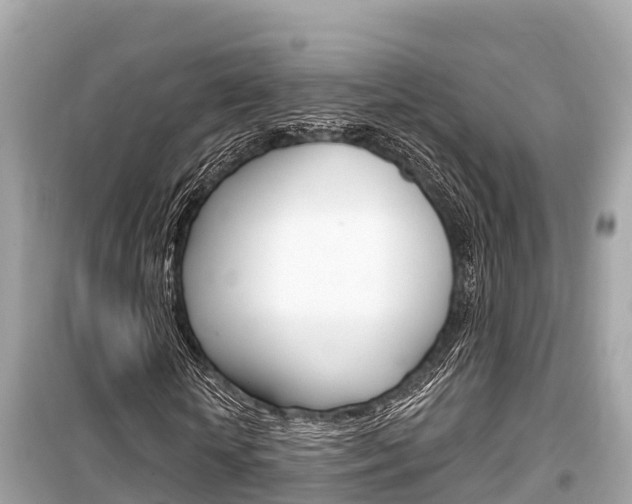 X0000099560818200805160748