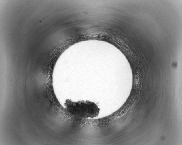 X0000099560820200805160748