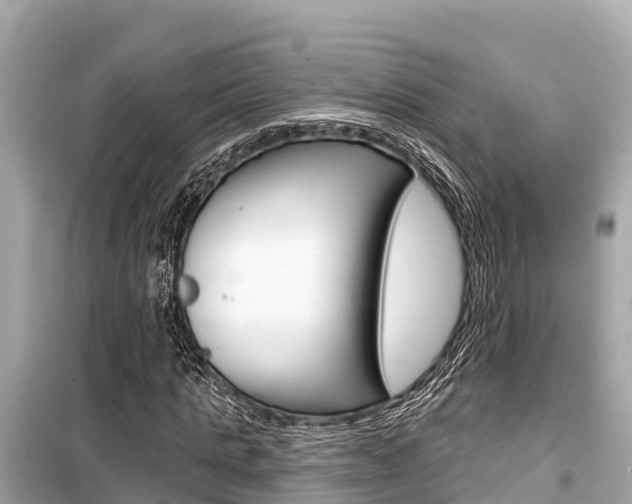 X0000099560821200805160748