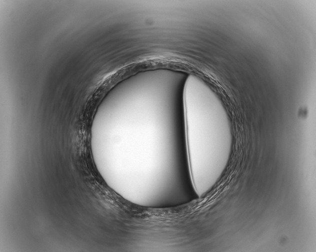 X0000099560822200805160748
