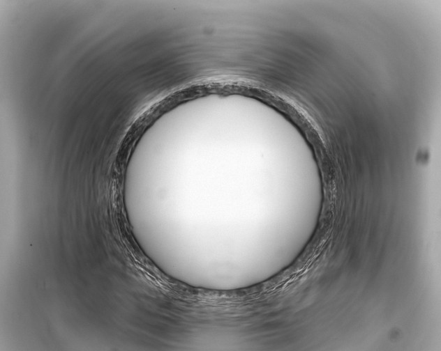 X0000099560823200805160748