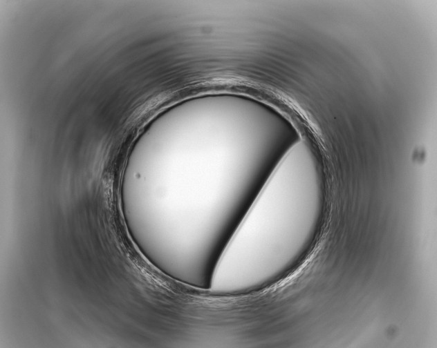 X0000099560825200805160748
