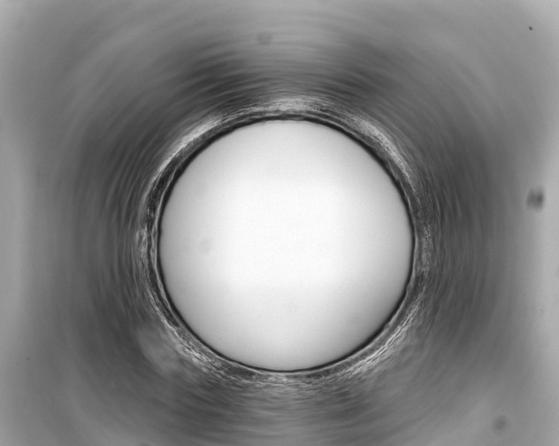 X0000099560827200805160748