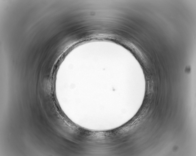 X0000099560828200805160748