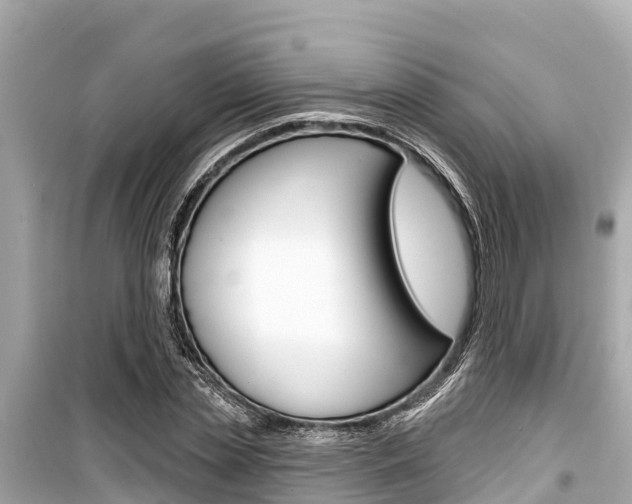 X0000099560829200805160748