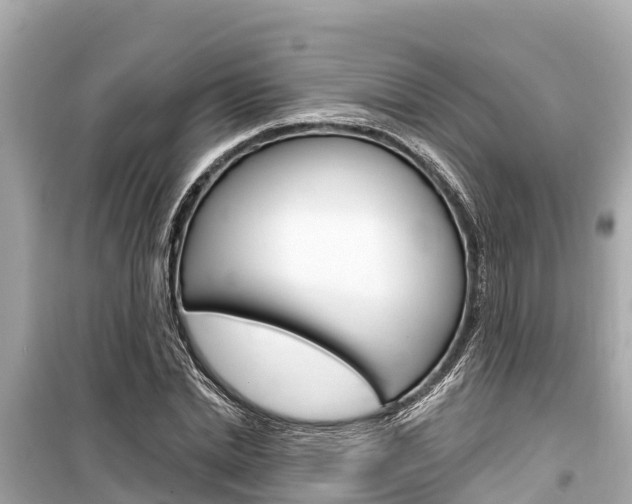 X0000099560830200805160748