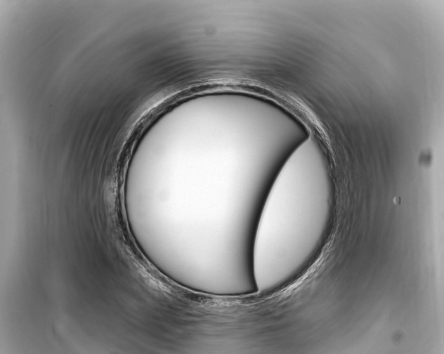 X0000099560831200805160748