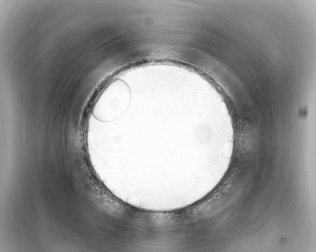 X0000099560832200805160748