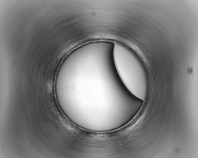 X0000099560833200805160748