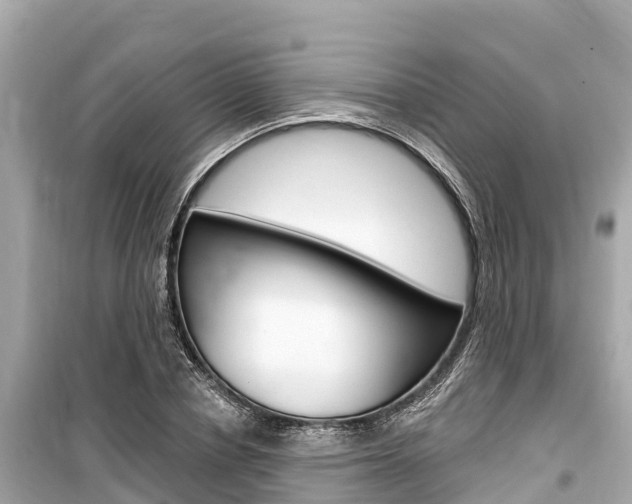 X0000099560834200805160748