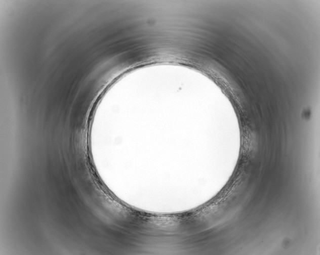 X0000099560836200805160748
