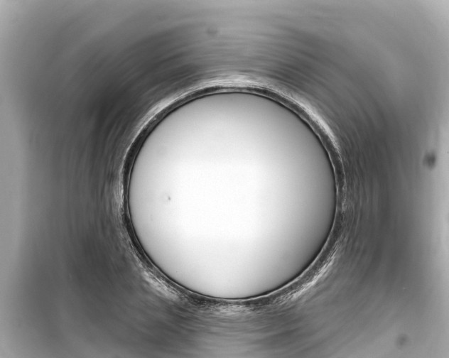 X0000099560837200805160748