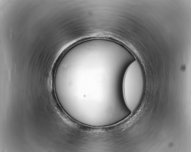 X0000099560838200805160748