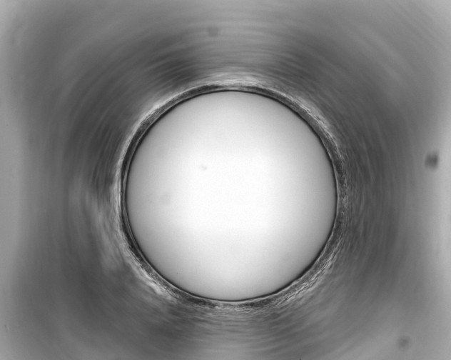 X0000099560840200805160748