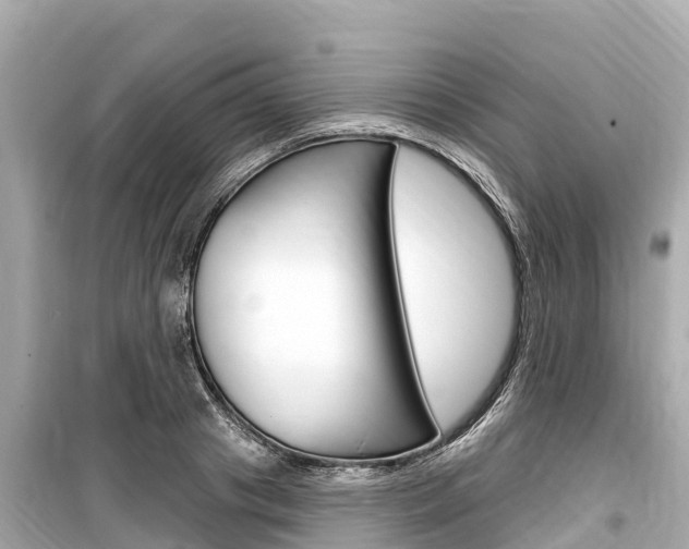 X0000099560841200805160748