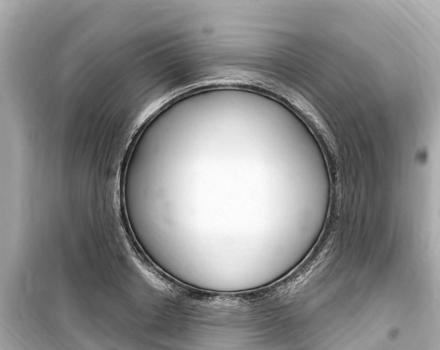 X0000099560842200805160748