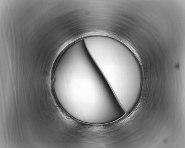 X0000099560845200805160748