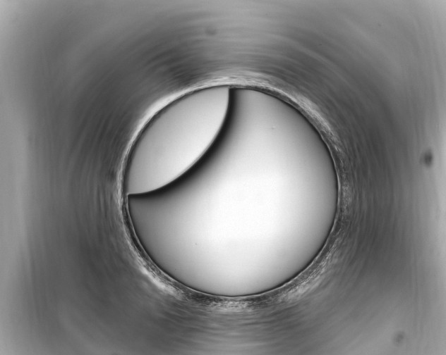 X0000099560846200805160748