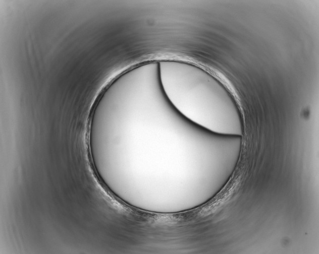 X0000099560847200805160749