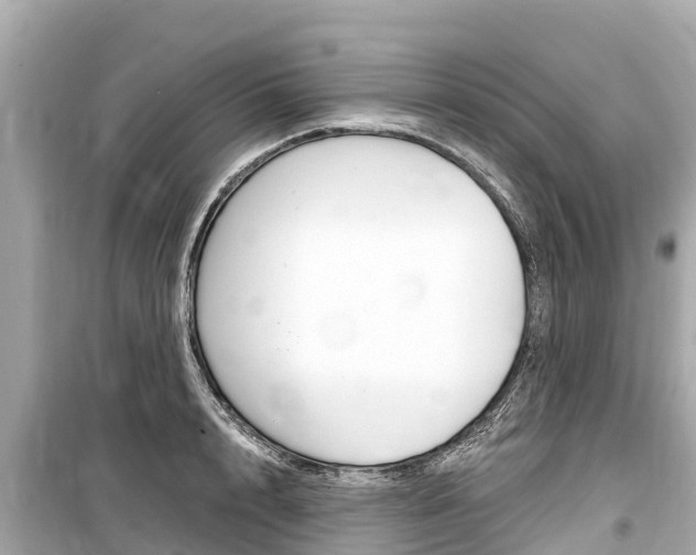 X0000099560848200805160749