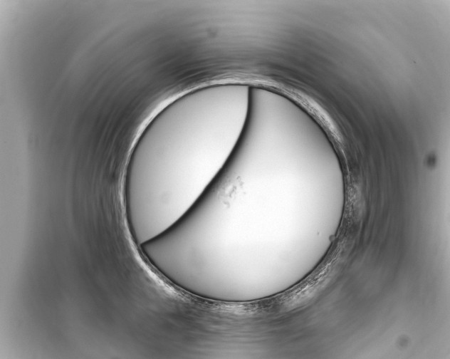 X0000099560855200805160749